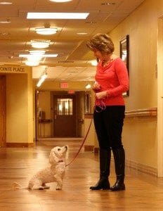Volunteering at a Senior Center with Pets