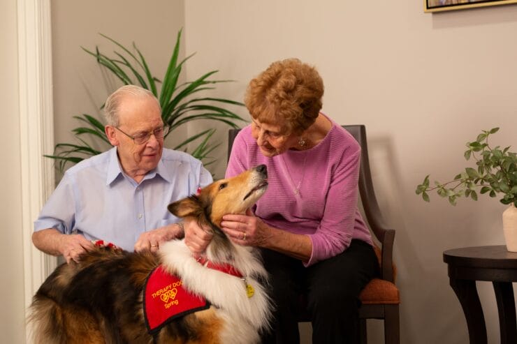 A senior couple enjoying time together while petting a friendly dog in a serene setting.