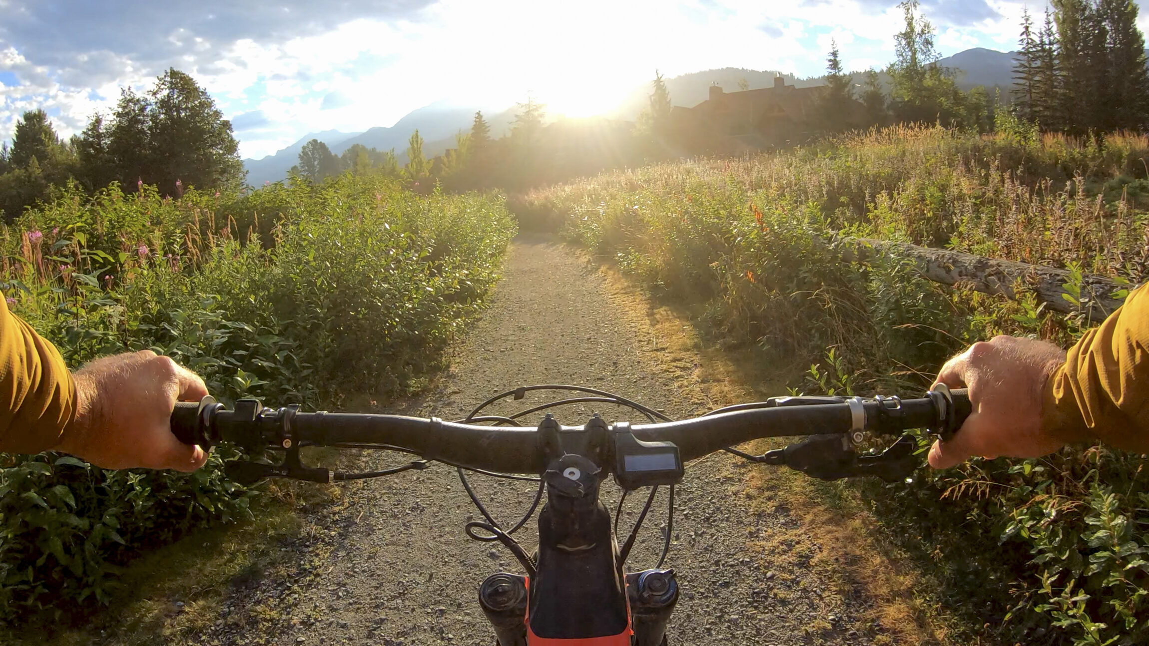 A man watches the sunrise over the handlebars of his mountain bike